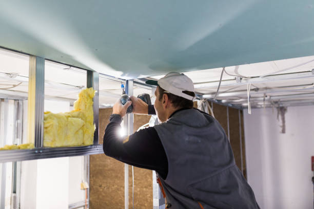 Best Insulation Replacement Services  in Middle Island, NY
